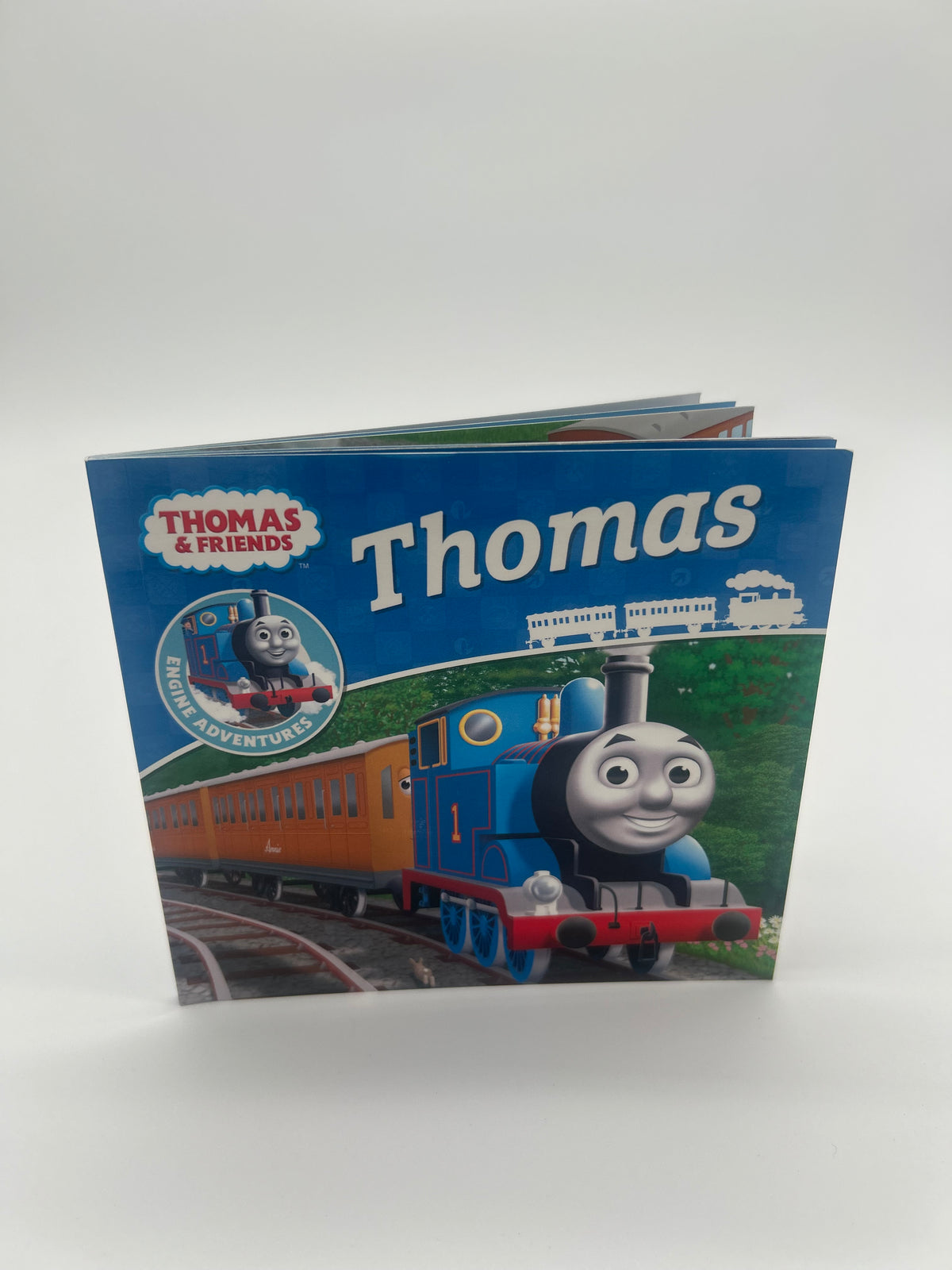 BOOK: THOMAS